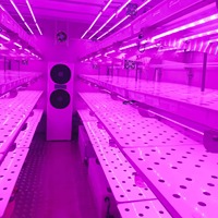 Système d'Aquaponie Commerciale OEM 2026 pour Serre, Étagère Hydroponique Verticale, Culture en Eau Profonde, Lampe de Croissance LED, Pompe Haute Performance