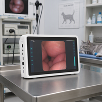 Gastroscope, laryngoscope, bronchoscope, rhinoscope, endoscope jetables flexibles, moniteur 11,6 pouces, processeur d'images 1920x1080