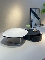 Table basse de salon moderne et minimaliste avec plateau en marbre et hauteur réglable pour petits appartements, meubles pour personnes âgées