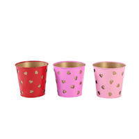 3-Pack pot pot tanaman multifungsi, dilapisi bubuk besi untuk meja kantor, alat berkebun penyimpanan pot bunga sukulen