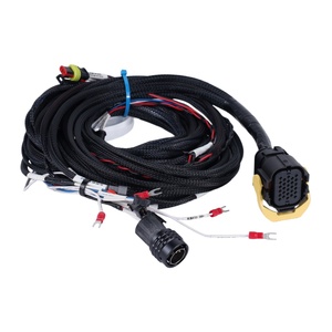 Harnais de câblage de commande 24V personnalisé, assemblage de câbles OEM ODM pour applications de flotte de véhicules et camions - Product Image 1