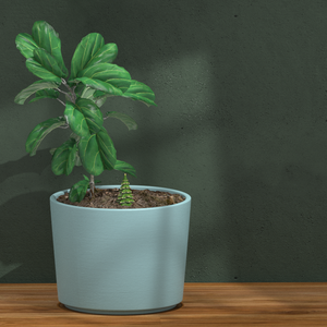 DesignCrafts4u W260177 OEM Estacas de Terracota con Autorriego, Sistema de Riego Automático para Plantas, Ahorro de Agua - Product Image 6