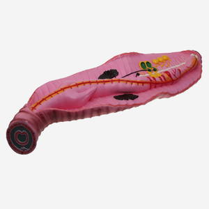 Gelsonlab HSBM-417 Schistosome In Copula modello - Product Image 5