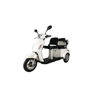 <span class=keywords><strong>Moto</strong></span> électrique robuste, construction solide pour le transport de charges lourdes - Product Image 3