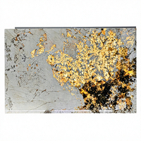 Dalles de pierre naturelle de luxe du Brésil, granit Alpinus translucide, panneaux muraux, carreaux, décoration intérieure, comptoir de cuisine, escaliers, meuble-lavabo