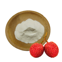 Natuurlijk gesproeid gedroogd puur lychee fruitpoeder, hoge oplosbaarheid, bulk, voedingskwaliteit, grondstof