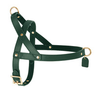Ensemble de laisse de collier de harnais pour animaux de compagnie en similicuir de luxe | Accessoires de marche pour chiens multicolores élégants avec matériel doré