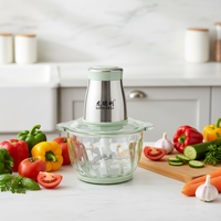 Mini hachoir à viande électrique avec boîtier en plastique 400W, hachoir à aliments et à viande pour usage en restaurant