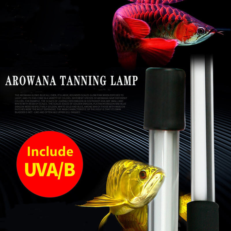 ZAOHETIAN T5 Submersible Tanning Arowana Tanning Light