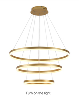 Moderne Simple Spirale Design Acrylique Doré Suspendus LED Lumières Résidentielles Salon Lustres Décoratifs Lampes Suspendues