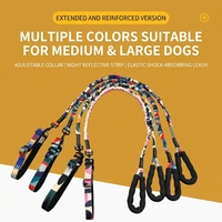 Laisse de chien classique en nylon rétractable, élastique et absorbant les chocs, laisse solide avec collier pour chiens de taille moyenne