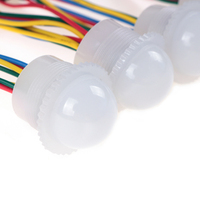 SHIJI carnaval 26mm Pixel LED WS2811 lampe multicolore corps en PVC 12V éclairage de fête foraine pour parc d'attractions parc à thème et carrousel