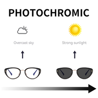 Gafas de Sol Partagas al por Mayor, Modernas, con Marco de Ojo de Gato, Fotocromáticas, TR90, Protección UV400, para Mujer