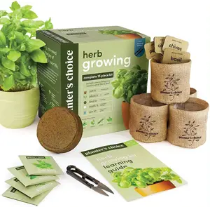 Prix usine chinoise kit de culture d'herbes bon marché vaporisateurs d'herbes sèches kit de démarrage pour jardin d'herbes d'intérieur