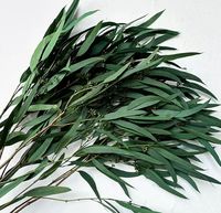 Groothandel Gedroogde Eucalyptus 10 Stengels Per Bundel Gedroogde Bloemen voor Bruiloft Valentijnsdag Thanksgiving Kerstmis Huisdecoratie