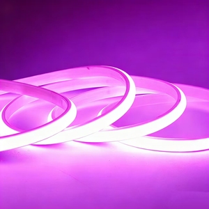 ไฟนีออน LED PVC กันน้ำ ปรับความสว่างได้ ตัดได้ ใช้ไฟ DC12V สำหรับตกแต่งผนังพื้นหลังห้องจัดแสดงนิทรรศการ รูปแบบเส้นตรง สีตามสั่ง - Product Image 5