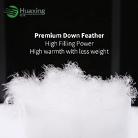 Literie hôtel qualité Literie de luxe Collection Dormir RDS confirmé Oreillers de lit blanc Duvet Plume moelleux Oreiller
