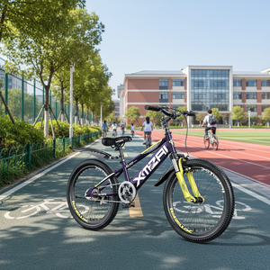 Bicicletta da Montagna per Bambini e Ragazzi con Freni a V, 18 20 22 Pollici, Disponibile in Fabbrica, Servizio OEM, Bicicletta Sportiva - Product Image 6