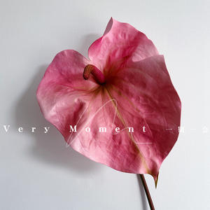 Y-H007 fiori Anthurium singolo ramo moderno gigante verde artificiale decorazione di nozze all'ingrosso fiori e piante - Product Image 4