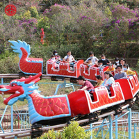 Manèges de montagnes russes Dragon Sliding pour parcs d'attractions, jeux familiaux pour enfants, à vendre