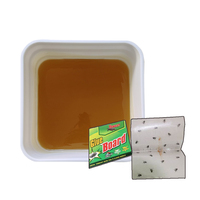 Piège à moustiques d'intérieur à haute efficacité Vente en gros Plaque collante pour mouches Planches de colle pour mouches Piège à mouches Colle pour autocollants
