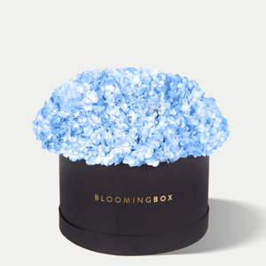 Confezione regalo rotonda di lusso nera da <span class=keywords><strong>20</strong></span> <span class=keywords><strong>cm</strong></span> con goffratura e rivestimento UV personalizzata con fiori di rosa per fiori naturali - Product Image 1