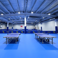 Tapis de terrain en PVC pour sports d'intérieur pour tennis, badminton, tennis de table, pickleball, basket-ball, football, volley-ball