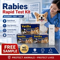 Kit de test rapide combiné CDV CAV OEM sans MOQ pour la maladie de la fièvre canine et l'adenovirus chez les animaux de compagnie