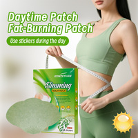 Patch Minceur Herbal pour Abdomen, Taille et Cuisses - Respirant, Doux pour la Peau, Hypoallergénique, Bienfaits Raffermissants et Détoxifiants OEM