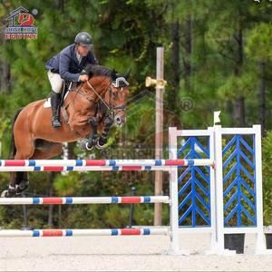 马展跳台配彩色铝管马跳翼 - Product Image 2