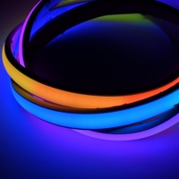 Bande LED COB à haute densité 12V RGBIC WS2811 8mm/10mm/12mm, adressable, sans points, IP67