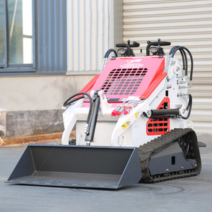 Minicargadora Agrícola Multifuncional de Bajo Consumo de Combustible con Joystick Hidráulico de Alta Elevación, 500 kg, Nueva para Jardín - Product Image 2