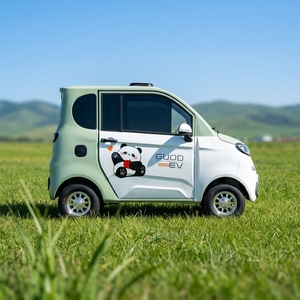 Mini Auto Elettrica a 4 Ruote con Cabina Chiusa per Adulti, Micro EV per Spostamenti Urbani a Breve Distanza - Product Image 6