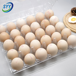 Barquettes <span class=keywords><strong>à</strong></span> œufs rectangulaires transparentes en CPET réutilisables pour œufs frais et œufs de caille, usage agricole et en supermarché - Product Image 3