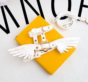 Güzel kanatları sevimli kanat zinciri entegre kolu sıcak satış lüks eğitim evcil hayvan koşumu tasmaları tasmalar özel köpek göğüs tasması seti - Product Image 4