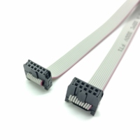 1,27 2, 0 2,54mm Abstand IDC FC 10 16 20 40P Stecker oder Buchse 10CM 20CM UL2651 28AWG UL2678 0,635mm Abstand 30AWG Graues Flach kabel