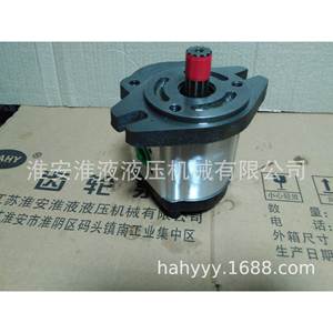 Nouvelles pompes hydrauliques à engrenages 2GG1P04/06/08R/11R/14R/16R/18R/20R/22R/25R pour systèmes, état neuf - Product Image 1