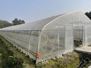 Serra in Plastica Agricola a Lunga Durata e Basso Prezzo, Serra di Alta Qualità Molto Richiesta, Serra a Tunnel Conveniente - Product Image 2