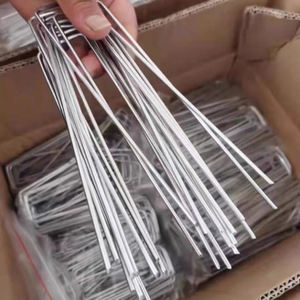 Galvanized Steel Class 4.8 6.8 Sod Staple U Shape Lawn Landscape <b>Pins</b> Weed Barrier Tent Stakes 1/4''-2'' for Construction Garden - Product Image 1
