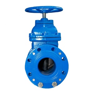 Vanne à opercule mécanique en fonte ductile avec siège métallique - Product Image 2