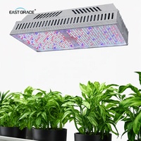 Lampe de culture LED à spectre complet, remplacement 1:1 du HPS, étanche IP65 pour serre commerciale