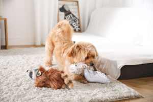 Nuevo diseño lindo vívido simulado forma de pájaro masticar cuerda chirriante perro de peluche juguete para mascotas - Product Image 6