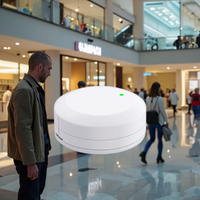 Balise de suivi d'actifs en temps réel P2 intelligente, étanche IP67, dispositif IoT programmable, BLE 5.0, iBeacon, Eddystone, capteur longue portée
