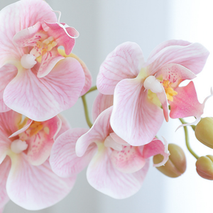 Orquídeas Phalaenopsis de Silicona de Alta Gama con Tacto Real, Decoración de Lujo para el Hogar, Centro de Mesa para Comedor, Sala de Estar - Product Image 3