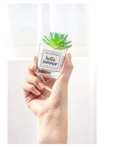 QSLHC821 Commercio All'ingrosso <span class=keywords><strong>Mini</strong></span> Artificiale di Plastica <span class=keywords><strong>Piante</strong></span> Succulente con vaso di Vetro - Product Image 6