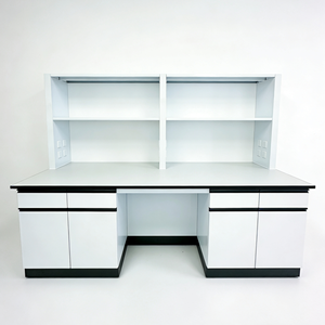 Arredamento da Laboratorio: Banco da Laboratorio con Porta-Reagenti e Armadietti a Muro. - Product Image 1