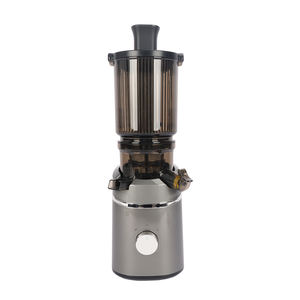 Hız 90RPM düşük gürültü sebze ve meyve elektrik yavaş sıkacağı - Product Image 2