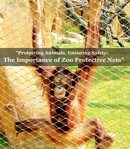 Prix d'usine en acier inoxydable 7x19 Zoo Barrière Maille 50mm Ouverture Hexagonale Cadre en métal robuste pour clôturer les portes en treillis - Product Image 4