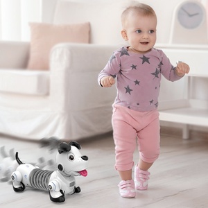 Đồ Chơi Robot Thông Minh Robot Theo Dõi Cảm Ứng Thông Minh Nhạy Cảm Đồ Chơi Robot Điện Tử Tương Tác Dachshund Co Giãn Được - Product Image 2