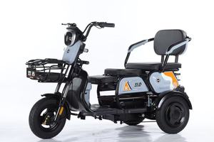 Tricycle pour passagers 1000W, tricycle adulte, tricycles - Product Image 6